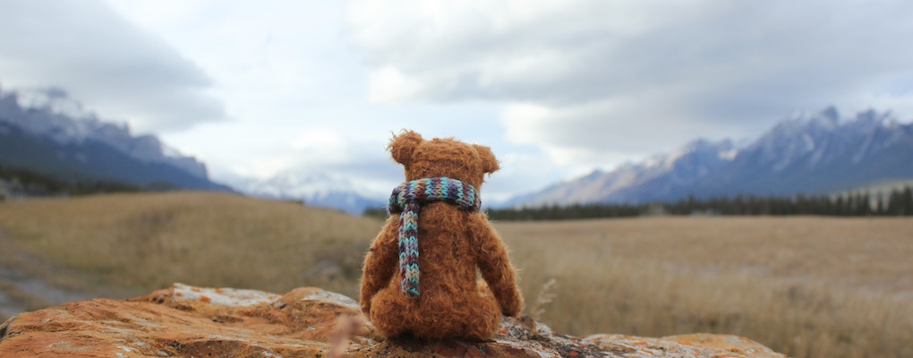 Teddy wearing a scarf sitting on a rock looking towards distant mountains