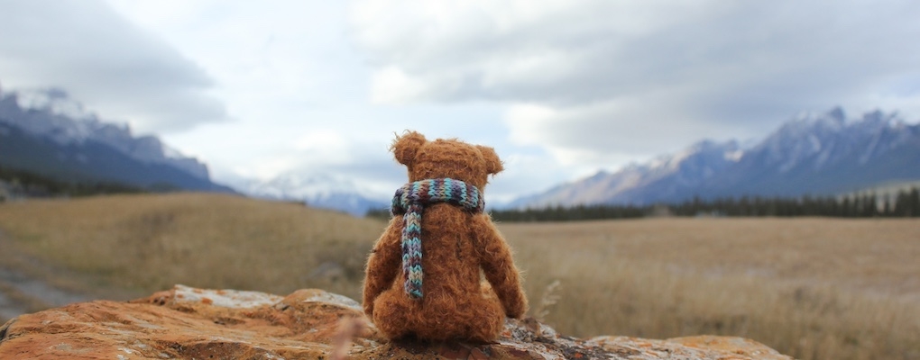 Teddy with a scarf sitting on a rock looking at distant mountains